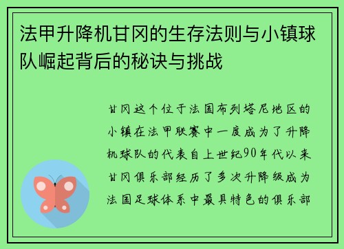 法甲升降机甘冈的生存法则与小镇球队崛起背后的秘诀与挑战