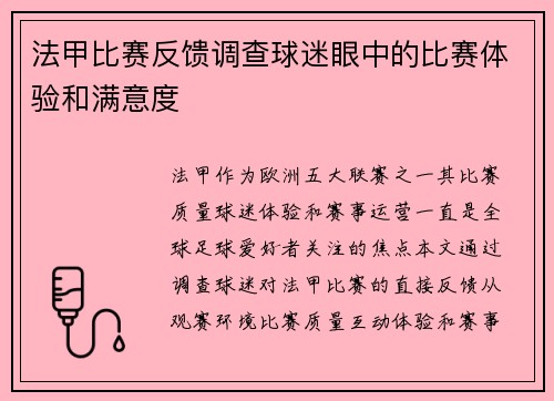 法甲比赛反馈调查球迷眼中的比赛体验和满意度